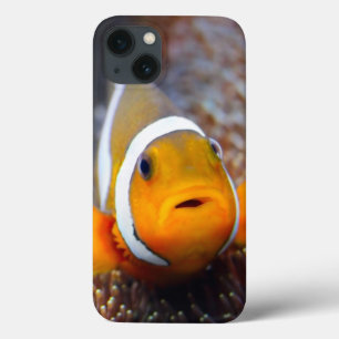 Tropical reef fish - Clownfish iPhone 13 Case