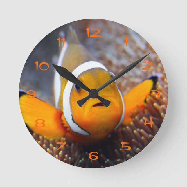 Tropical reef fish - Clownfish Round Clock (Front)