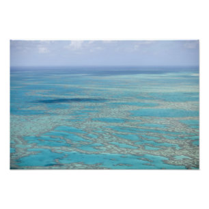 Tropical reef, Great Barrier Reef, Queensland, Photo Print