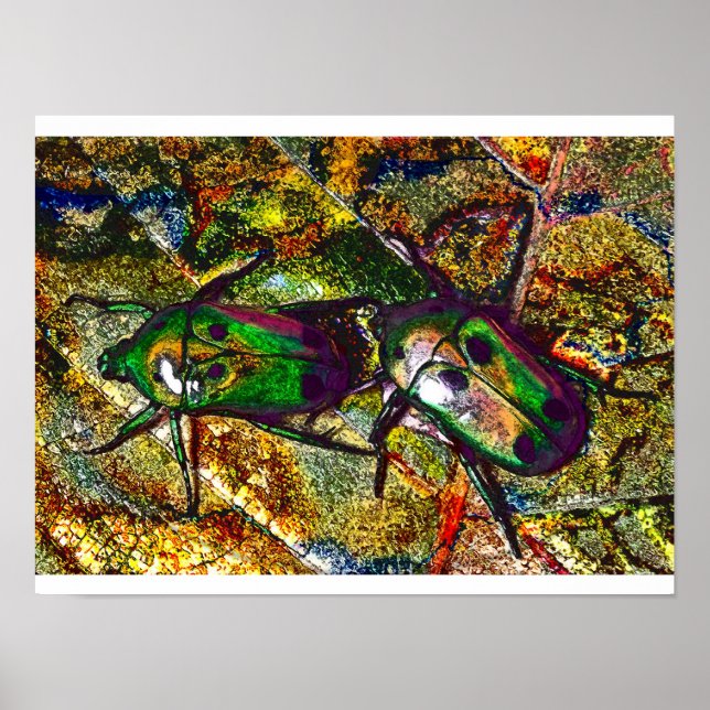 Tropical Rose Chafer Beetle Digital Art Poster (Front)