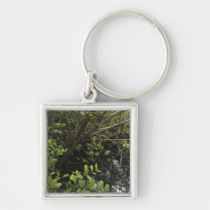 Tropical salt pond key ring