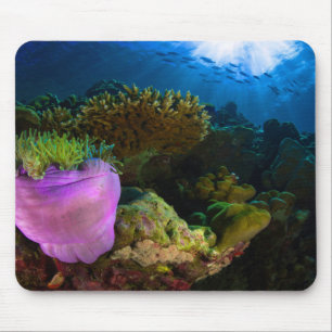 Tropical Sea Coral Mouse Pad