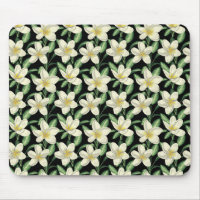Tropical seamless pattern white flowers green leaf