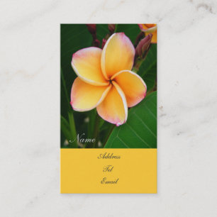 Tropical Senses Business Card