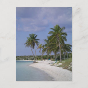 Tropical Settings Postcard