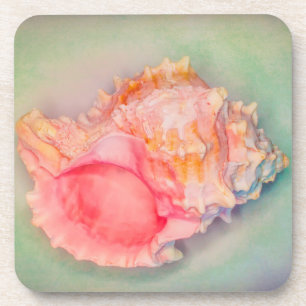 Tropical Shell Coaster