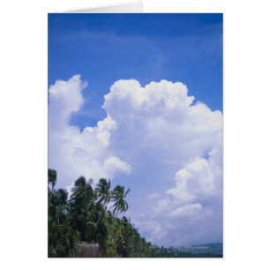 Tropical shoreline