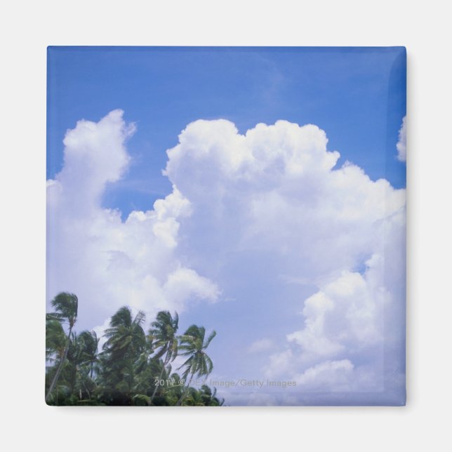 Tropical shoreline magnet (Front)