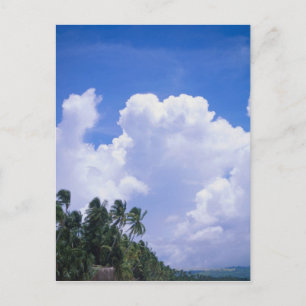 Tropical shoreline postcard