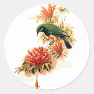 Tropical Splendour Classic Round Sticker