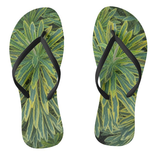 Tropical Splendour Plants Thongs (Footbed)