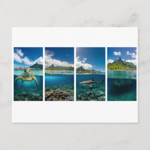 Tropical Split‑View Poster – Underwater & Island L Postcard