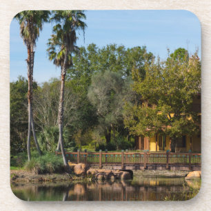 Tropical Springs Paradise Coaster