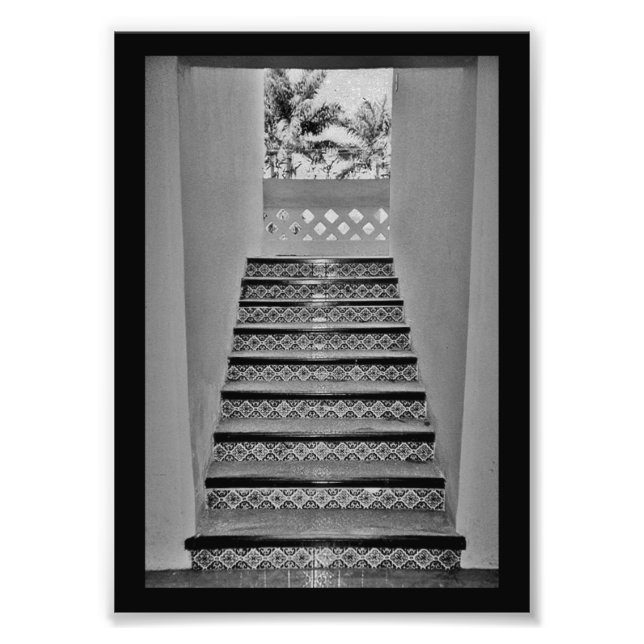 Tropical Stairway Photo Print (Front)