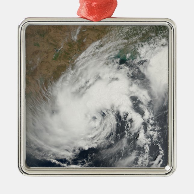 Tropical Storm Bijli Metal Tree Decoration (Front)