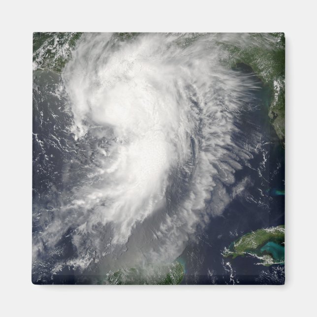 Tropical Storm Cindy Magnet (Front)