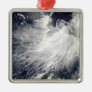 Tropical Storm Conson Metal Tree Decoration