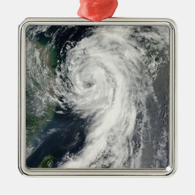 Tropical Storm Dianmu Metal Tree Decoration (Front)