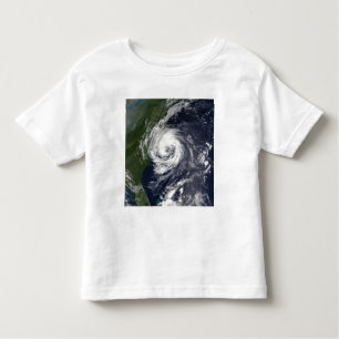 Tropical Storm Gustav Toddler T-Shirt
