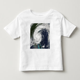 Tropical Storm Hanna over the East Coast Toddler T-Shirt