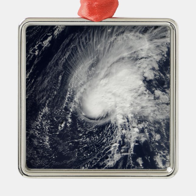 Tropical Storm Zeta Metal Tree Decoration (Front)