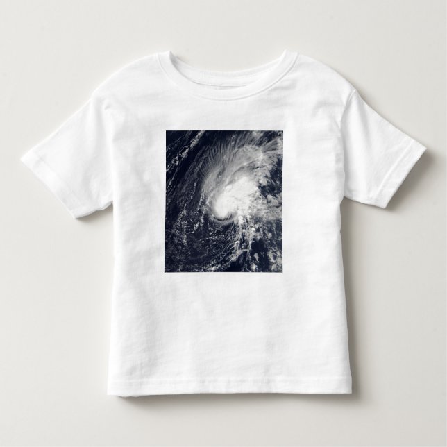 Tropical Storm Zeta Toddler T-Shirt (Front)