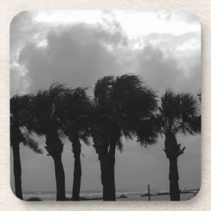 Tropical Stormy Skies Grayscale Coaster