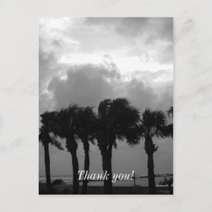 Tropical Stormy Skies Grayscale Postcard