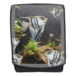 Tropical Striped Fish Backpack