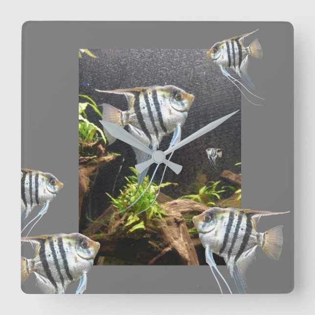 Tropical Striped Fish Wall Clock (Front)