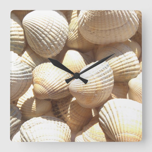 Tropical Sunny Exotic Sea Shells Square Wall Clock (Front)