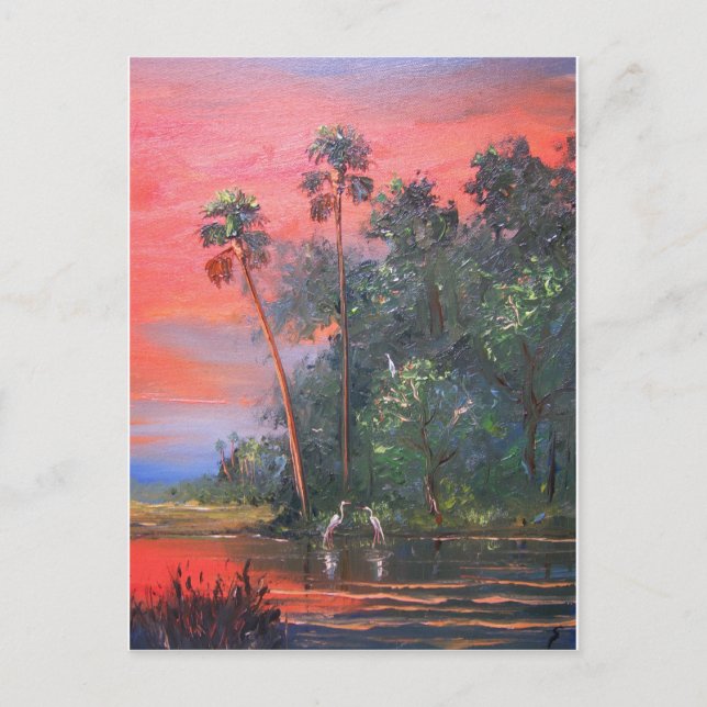 Tropical Sunny & Hot Postcard (Front)
