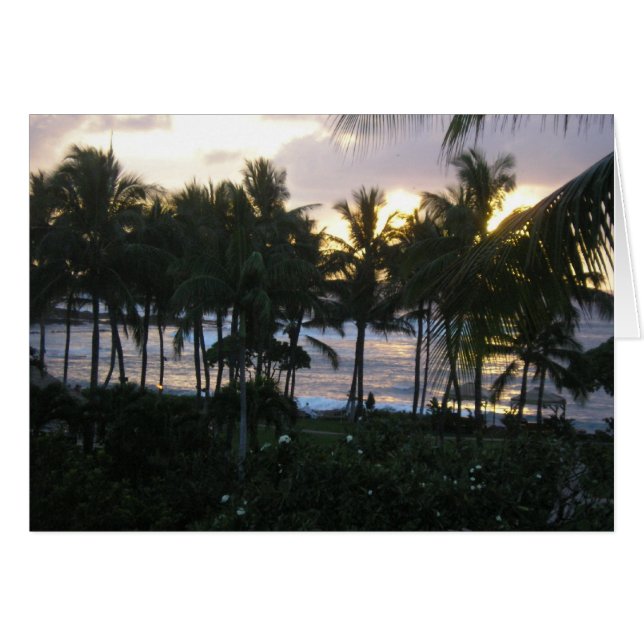 Tropical sunset (Front Horizontal)