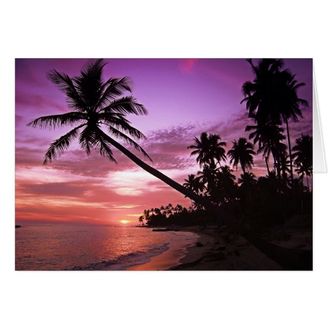 Tropical Sunset (Front Horizontal)
