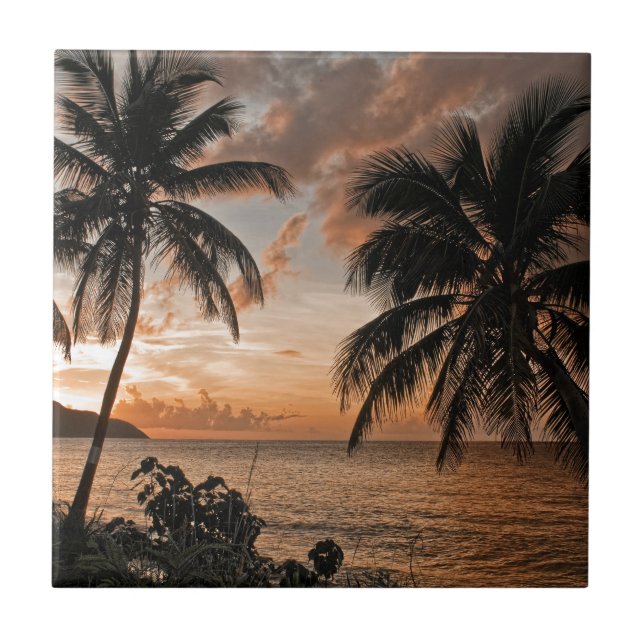 Tropical Sunset Beach Palm Trees Tile (Front)