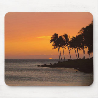 Tropical Sunset Mouse Pad