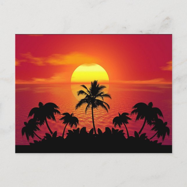 Tropical Sunset Palm Trees Silhouette Beach Postcard (Front)