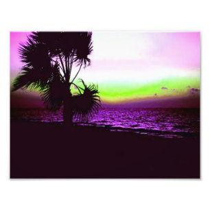 Tropical Sunset Photo Print