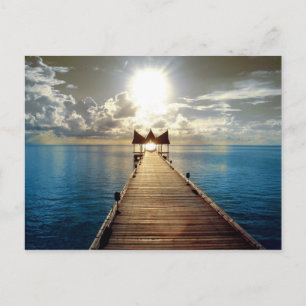 Tropical Sunset Postcard