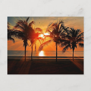 Tropical Sunset Postcard