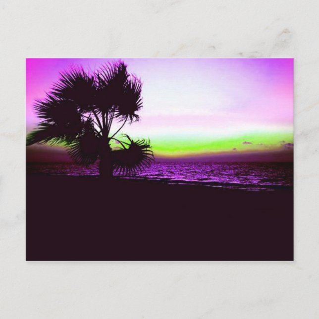 Tropical Sunset Postcard (Front)