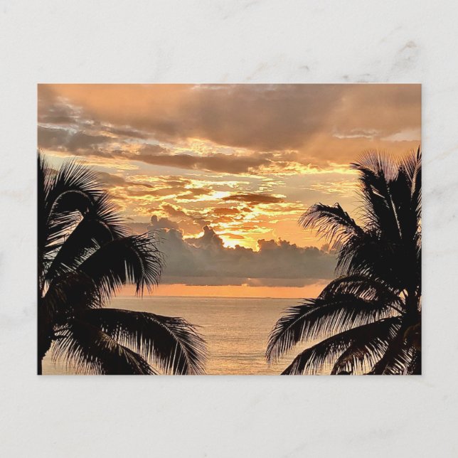 Tropical Sunset Puerto Vallarta Postcard (Front)