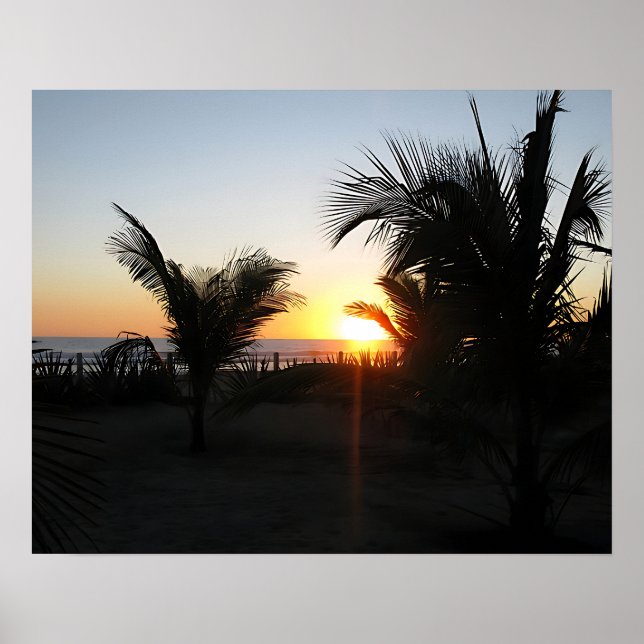 Tropical Sunset Silhouette Poster (Front)