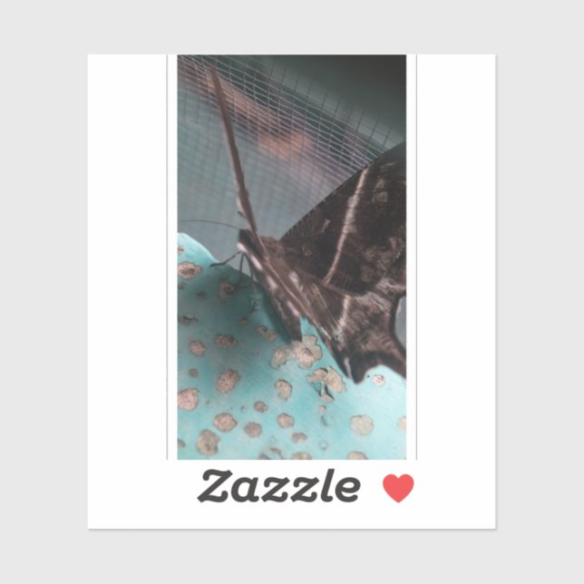 Tropical Swallowtail Moth (Sheet)