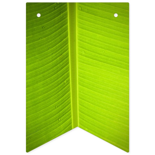 Tropical Theme. Banana Leaves. Bunting (First Flag)