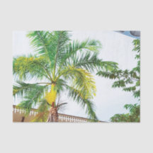 Tropical Tissue Paper Palm Tree