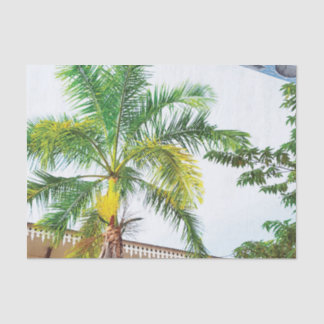 Tropical Tissue Paper Palm Tree