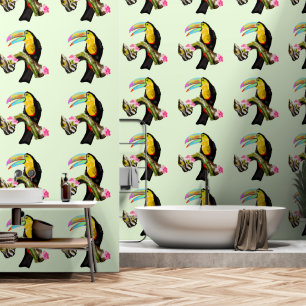 Tropical Toco Bird Toucan Wallpaper