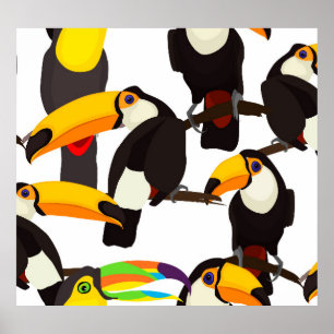 Tropical Toucan Birds Vintage Pattern Poster