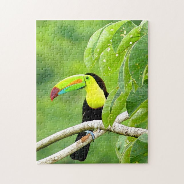 Tropical Toucan Puzzle (Vertical)
